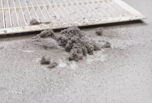 Best Professional Duct Cleaning Services  in Delft Colony, CA