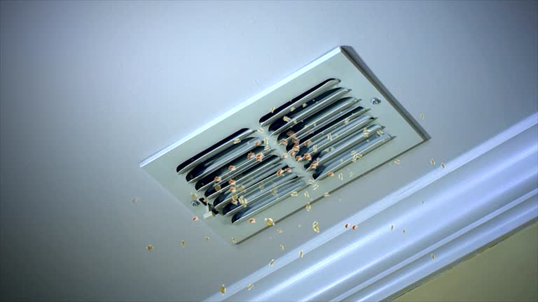 Best Emergency Air Duct Cleaning  in Delft Colony, CA